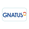 Gnatus